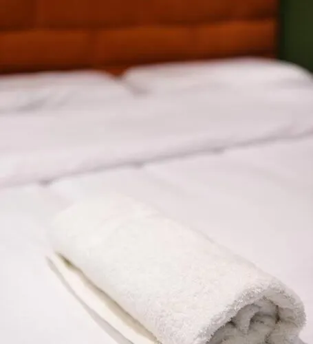 Matisse No13 - Center Tirana